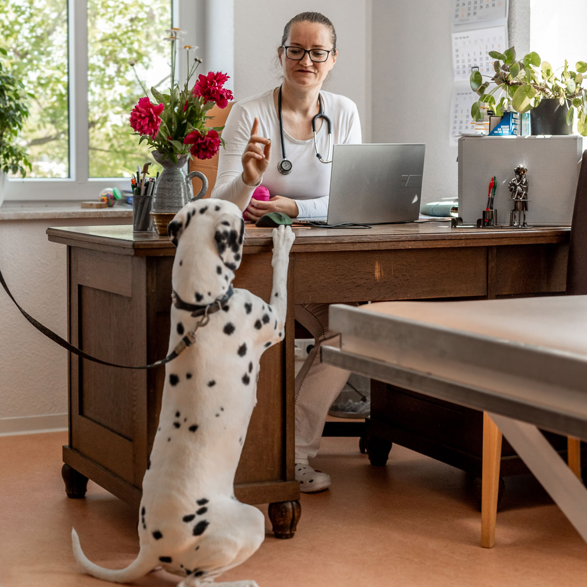Sprechstunde mit Kristina Iffland mit einem Dalmatiner