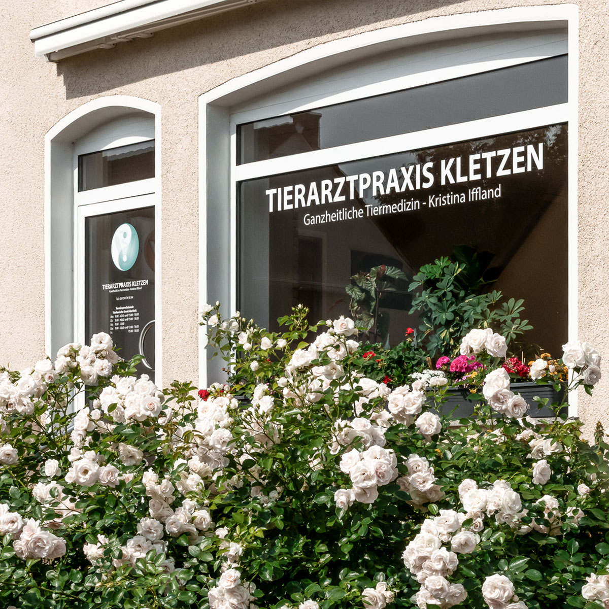 Tierärztin Kristina Iffland bei der Untersuchung eines Hundes