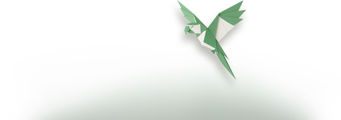Tierschutz Papagei